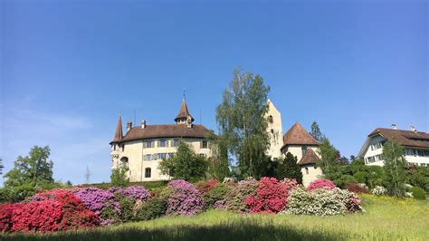 schloss st andreas cham|Cham